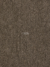 Haima Coral 06 фото 1 | FLOORDEALER
